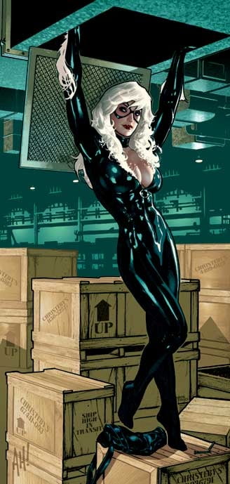 catwoman black cat #92442715