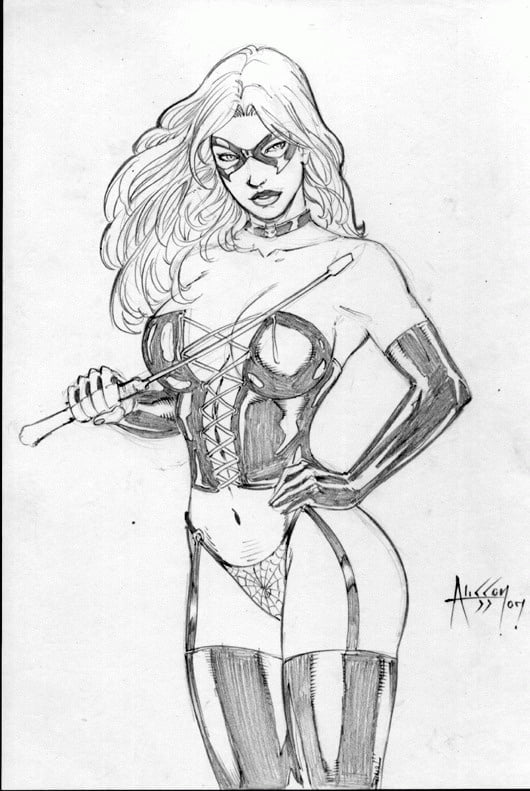 catwoman black cat #92442772