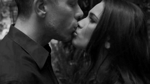 ¡Tome sus proteínas perra!
 #102591610