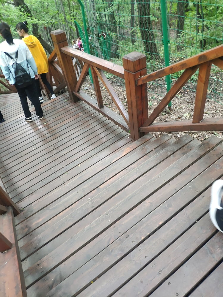 Sneak shot #93919271