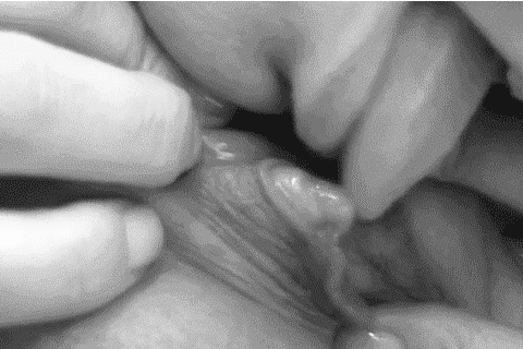 Gifs of things i like #99965644