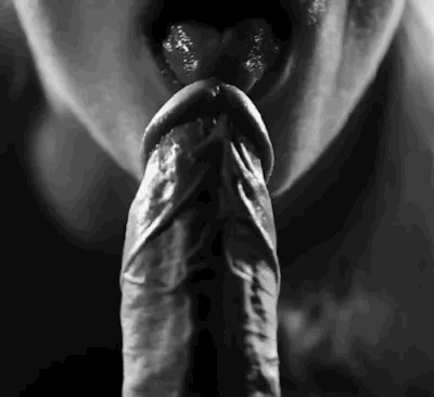Was fuer lustvolle Frauen #105277900
