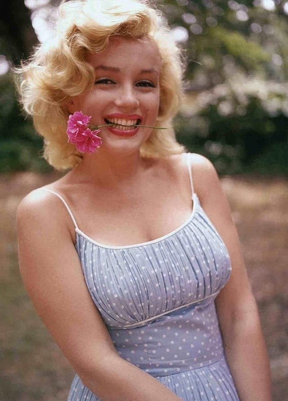 Marilyn Monroe photos
 #100899109
