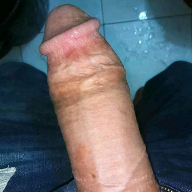 Dick or cock collection #107048657