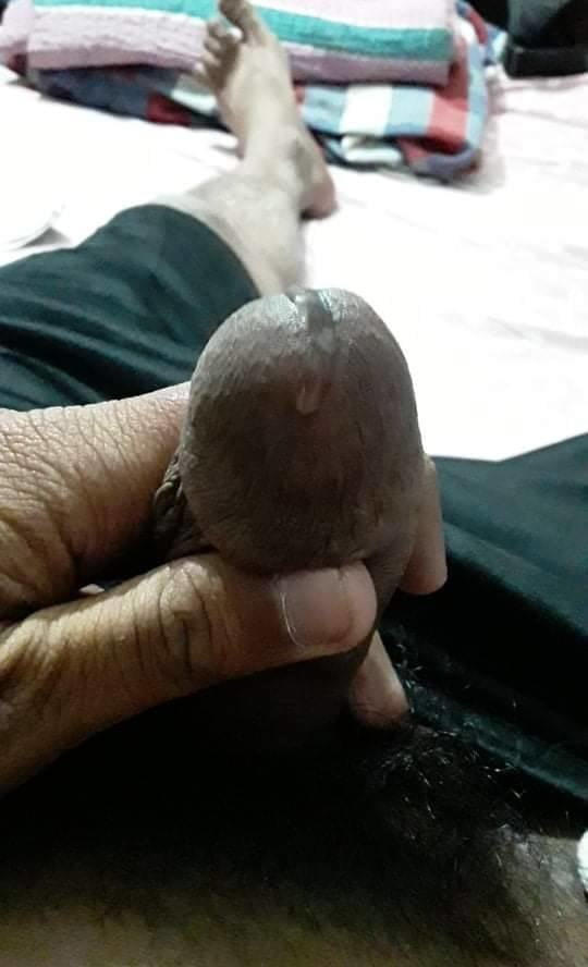 Dick or cock collection #107048660