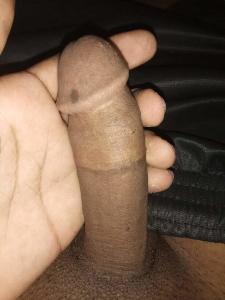 Dick or cock collection #107048665