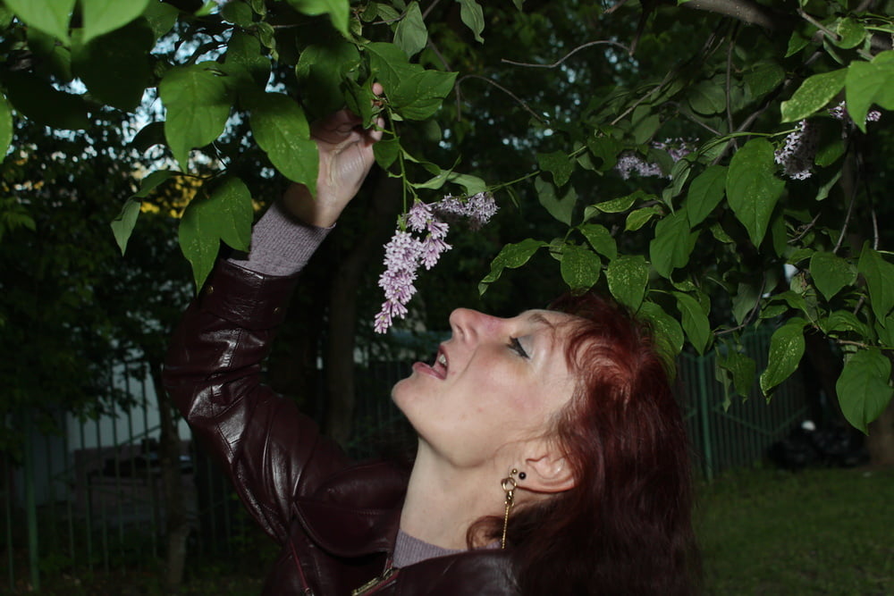 Lilac #107200637