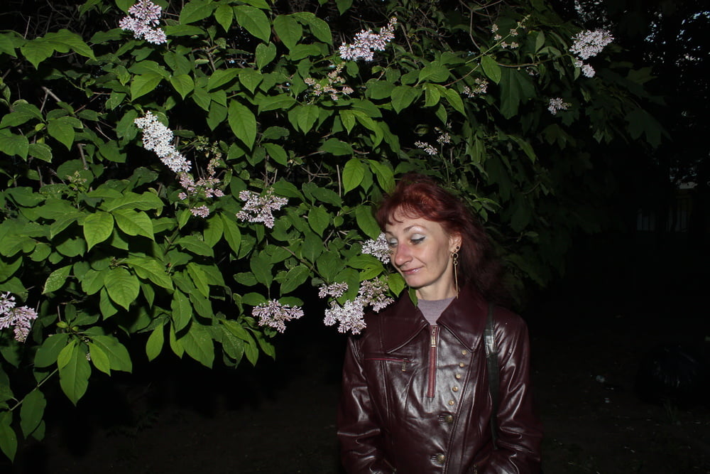 Lilac #107200647