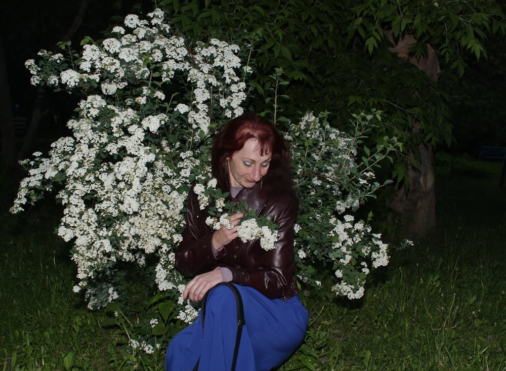 Lilac #107200658