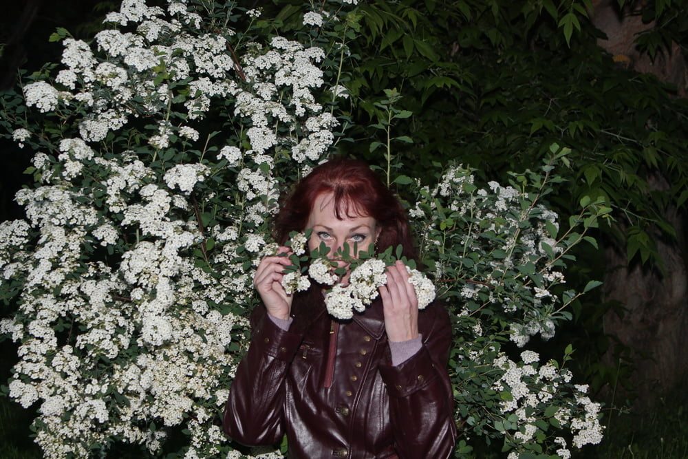 Lilac #107200664