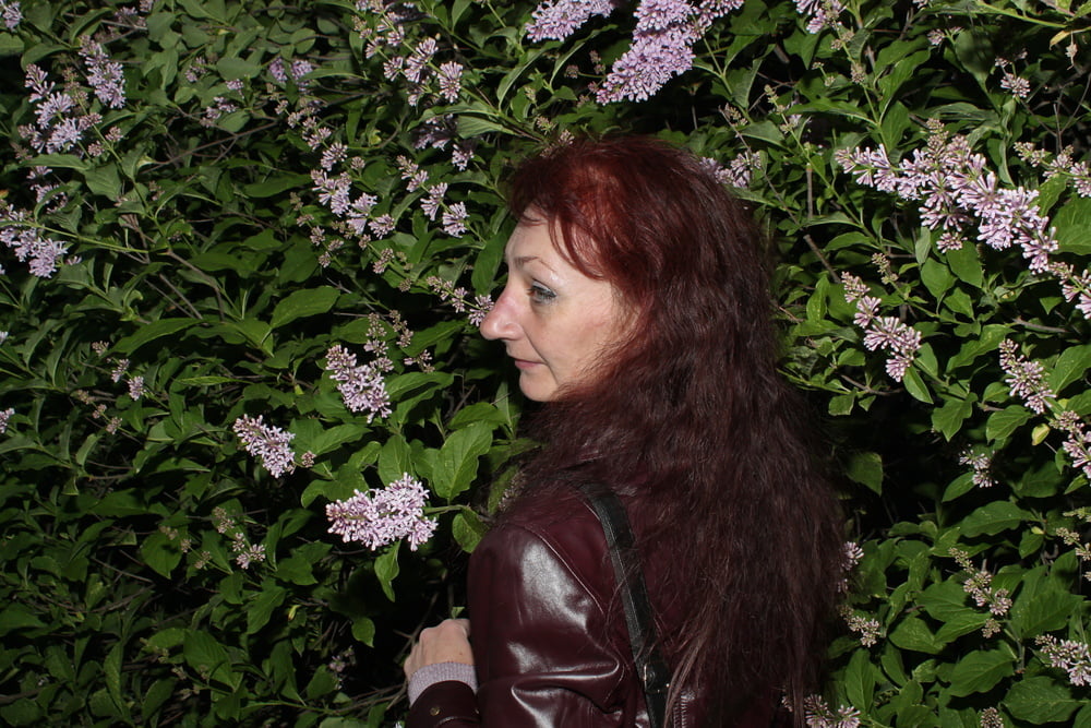 Lilac #107200670