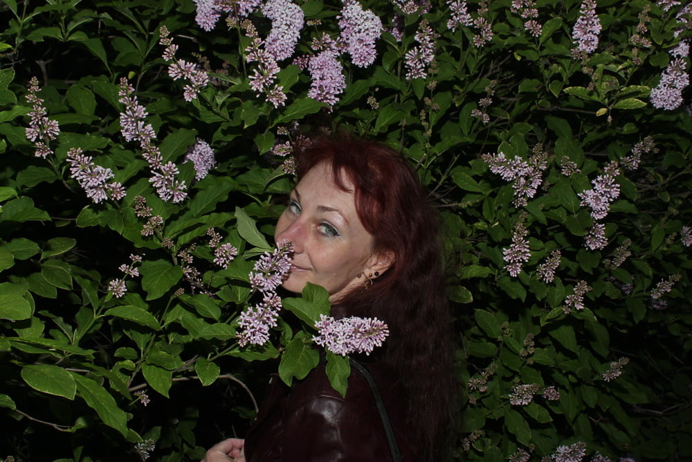 Lilac #107200674