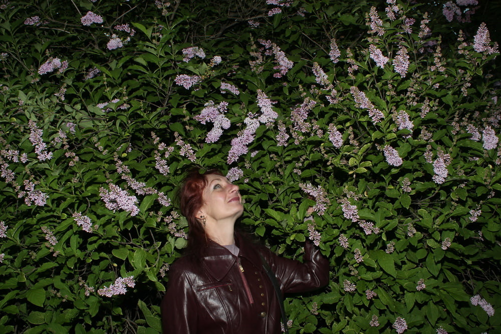 Lilac #107200678