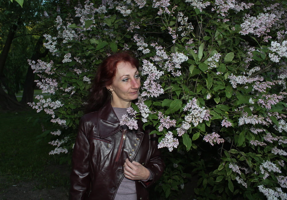 Lilac #107200719