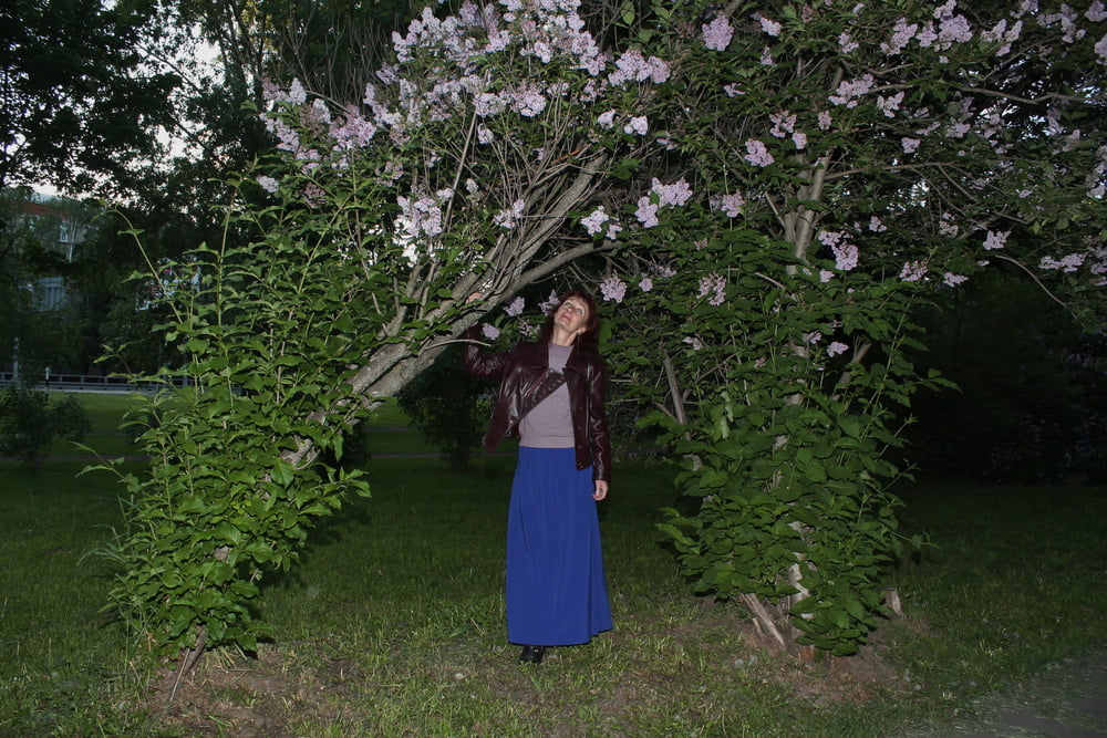 Lilac #107200727