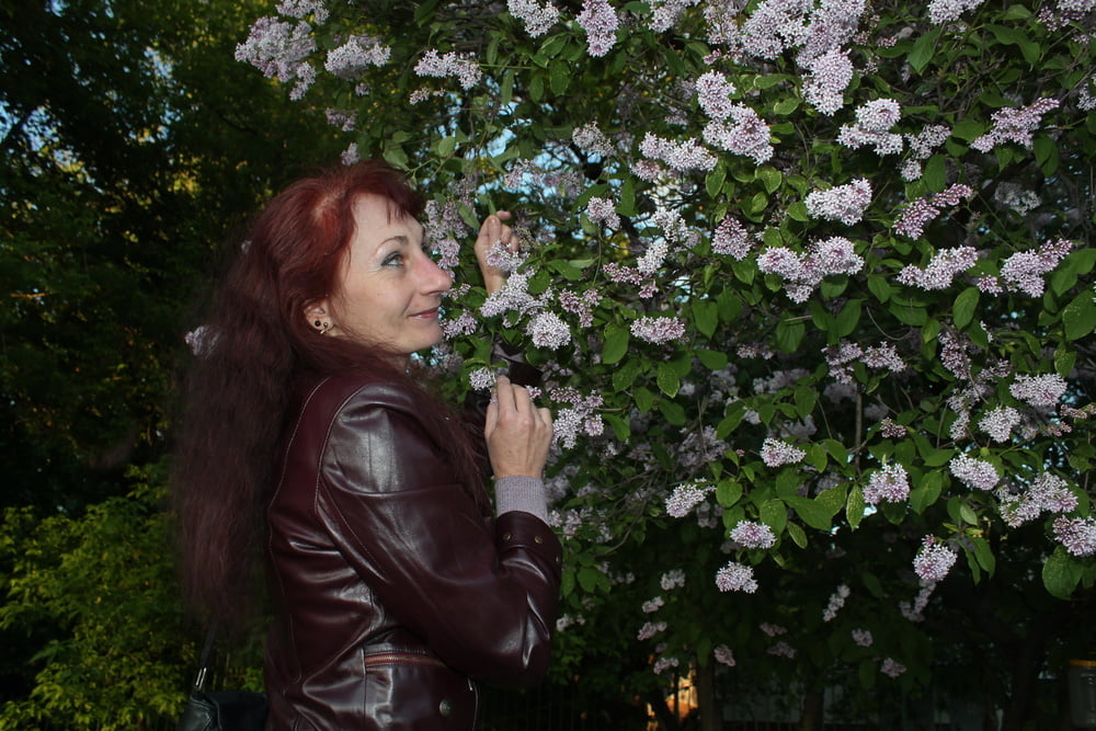 Lilac #107200733