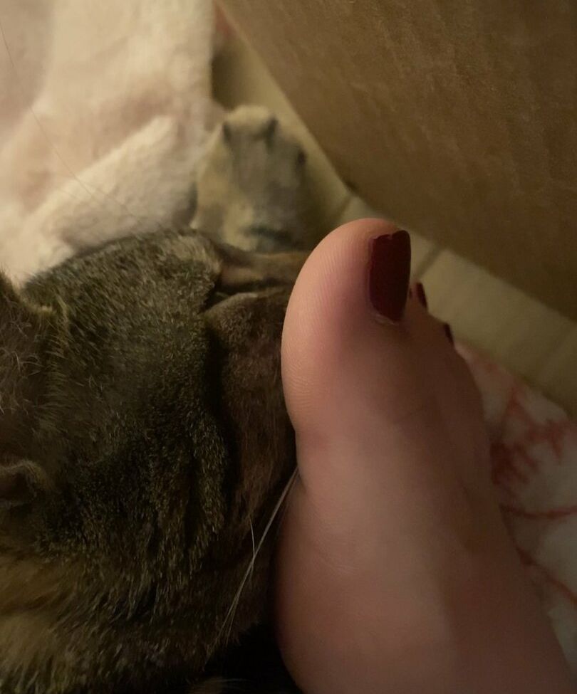 Michelleyroo desnuda #109042642