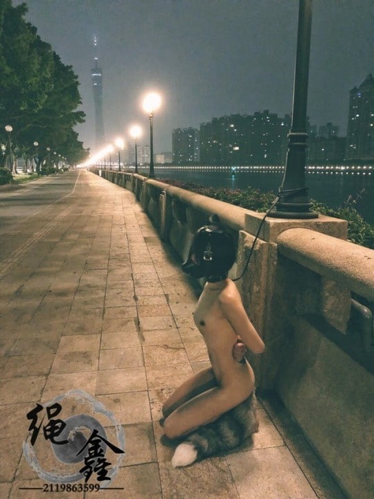 ドギーガール
 #95636274
