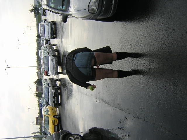 Madura 66710
 #104794629