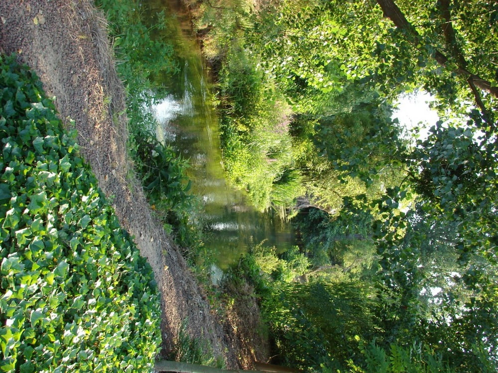 Madura 66710
 #104794906