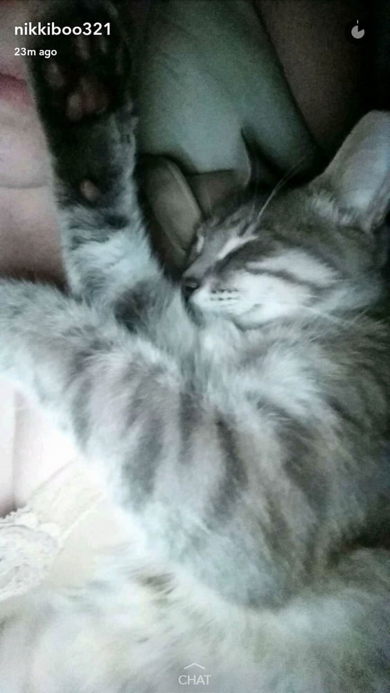 Nikkiboo321
 #89914656