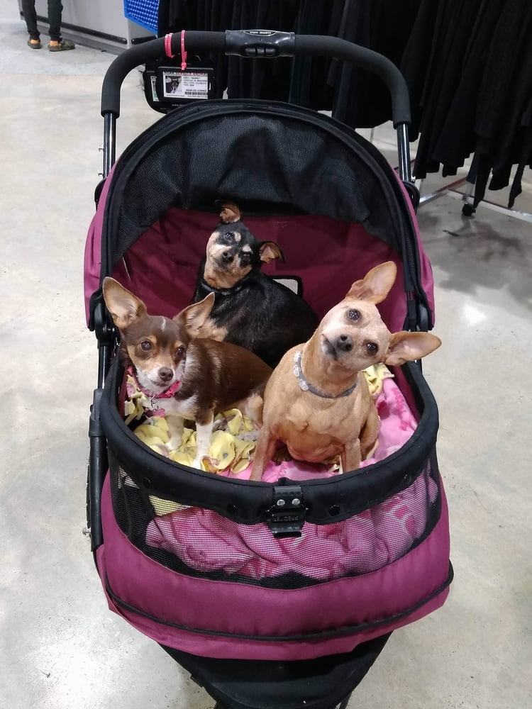 Nikkiboo321
 #89914934