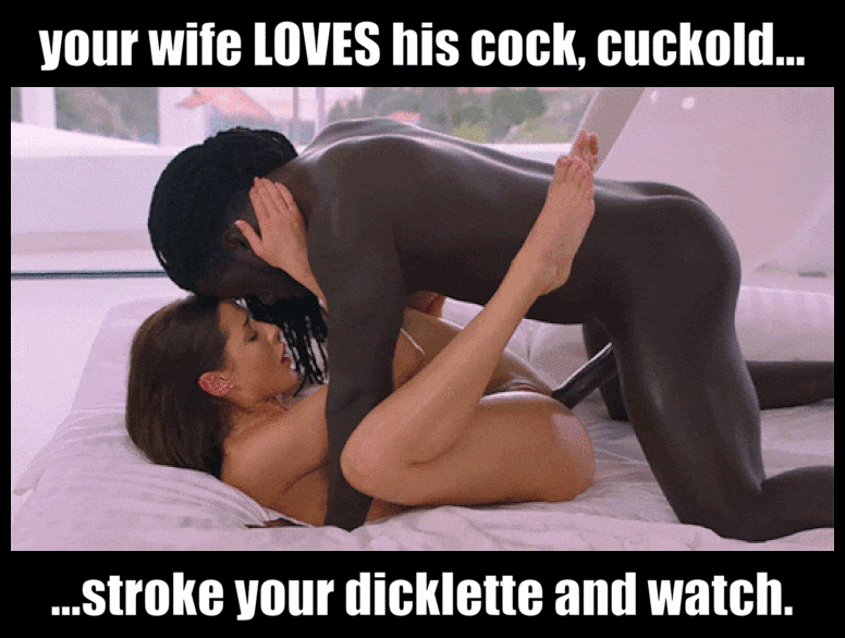 Cuck, Sissy & Bully Captions Sex Gifs, Porn GIF, XXX GIFs #3666968 -  PICTOA