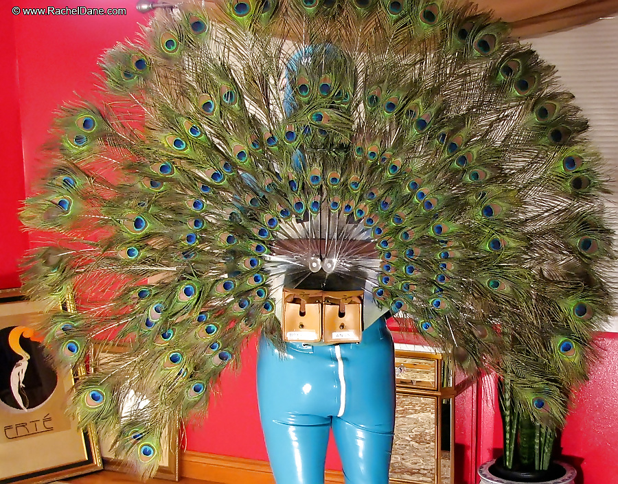 Fabulous Latex Peacock! #106996096