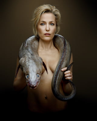 Sex Symbols you may have forgotten - Gillian Anderson #79755279