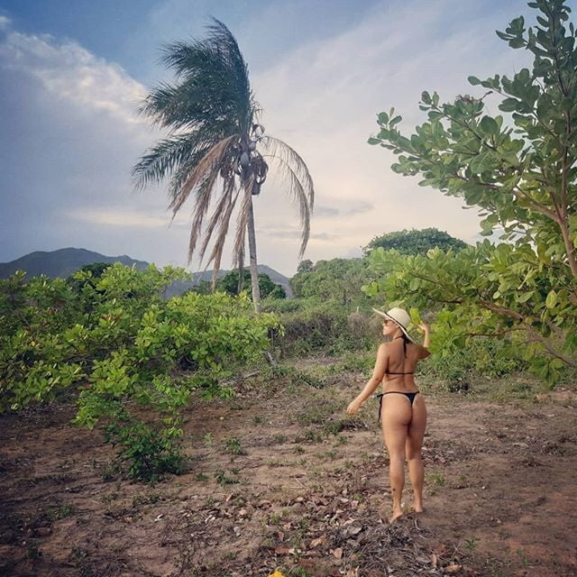 Auricelia boa #91164904