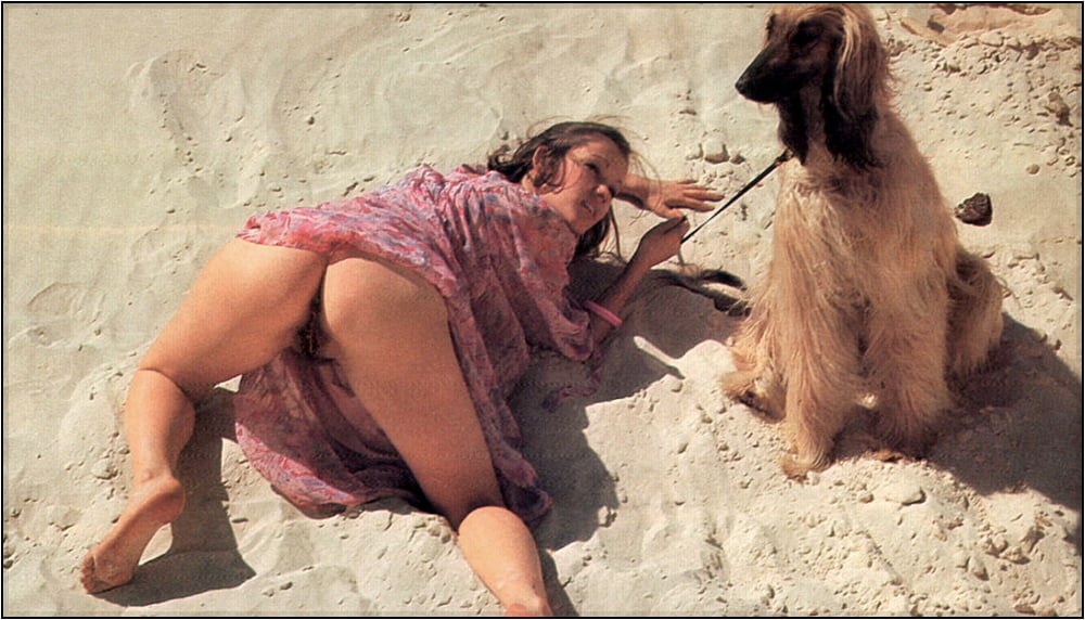 Vintage vistas traseras #42 - mkx
 #98284633