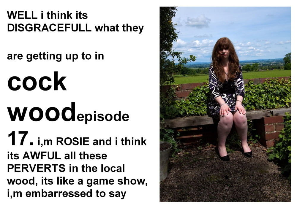 cockwood 17 #90049285