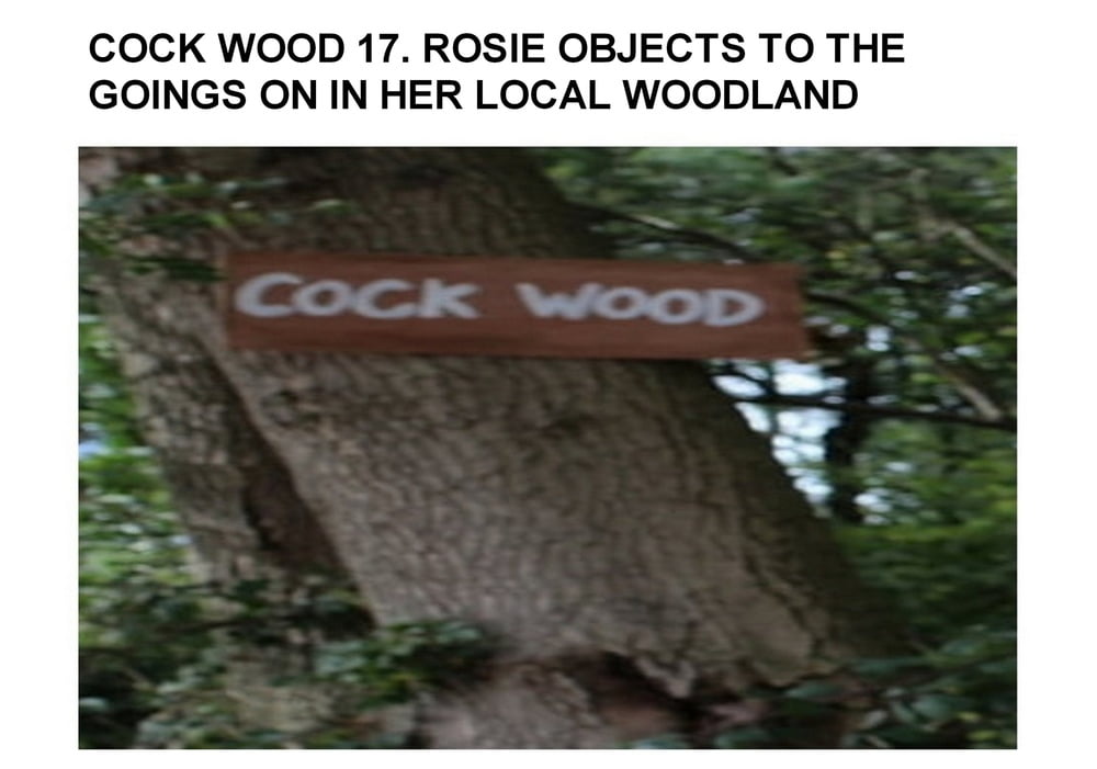 cockwood 17 #90049287