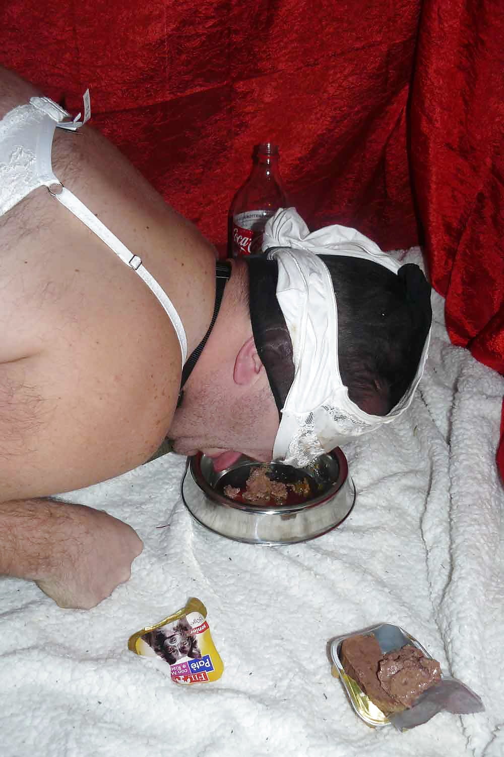 sissy-doggie eat dogfood for Mistress Celine #107327559