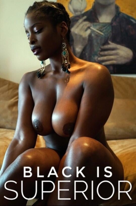 Breed Black not white 12 #100568790