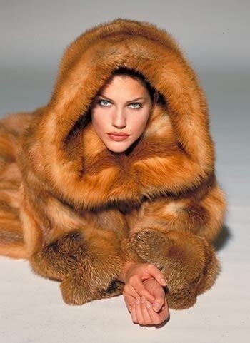 Sexy Woman In Fur #96593538
