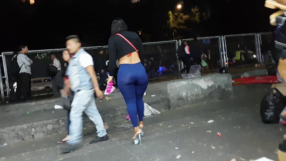 Putonas Cavalas #91125804