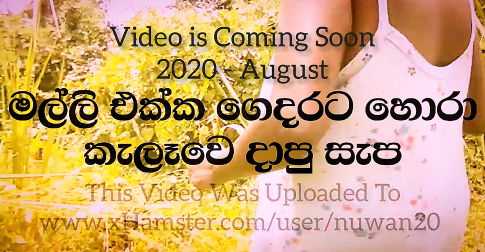 Mes photos set - 2020 août 03 galerie spéciale - sri lankais
 #87672108