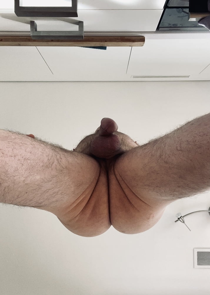 Hairy Bear shows of his fat meaty cock #107102622
