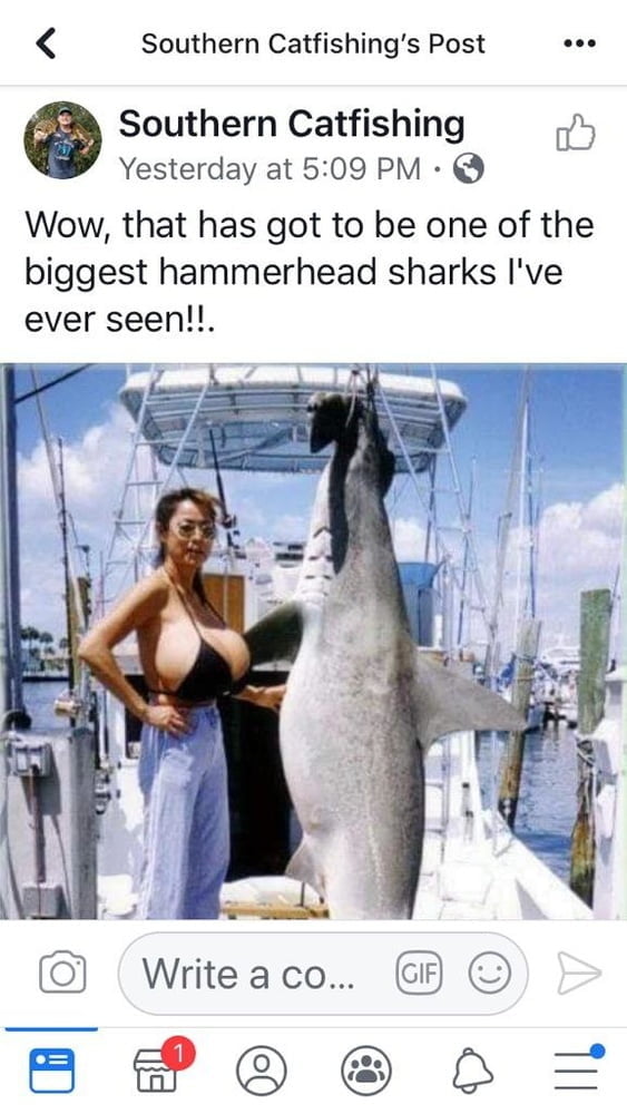 Captions &amp; Funnies 4 #94851641