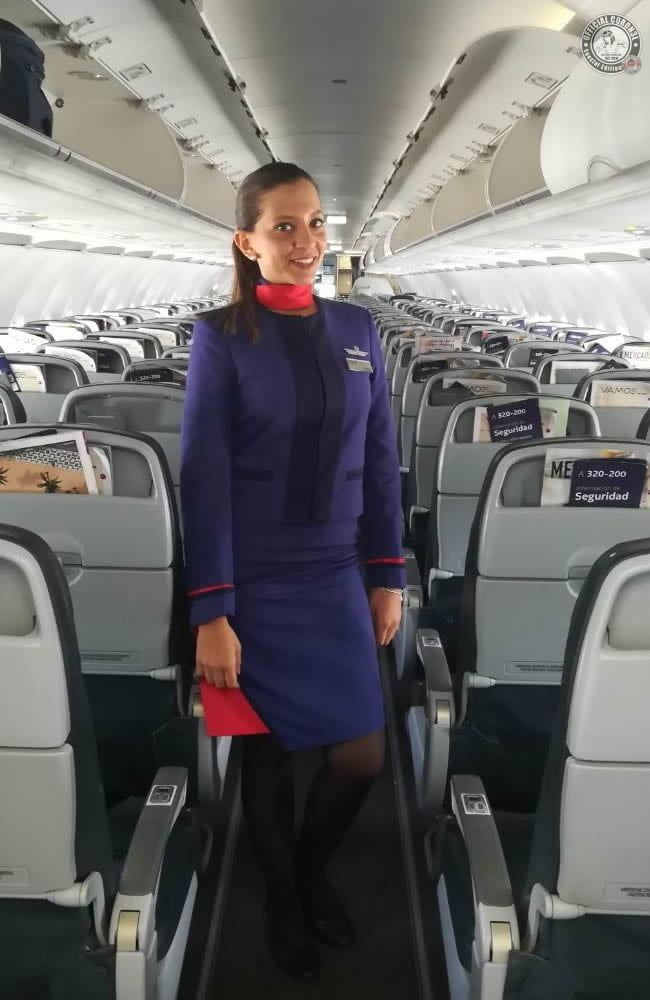 Marlene lan
 #91426211