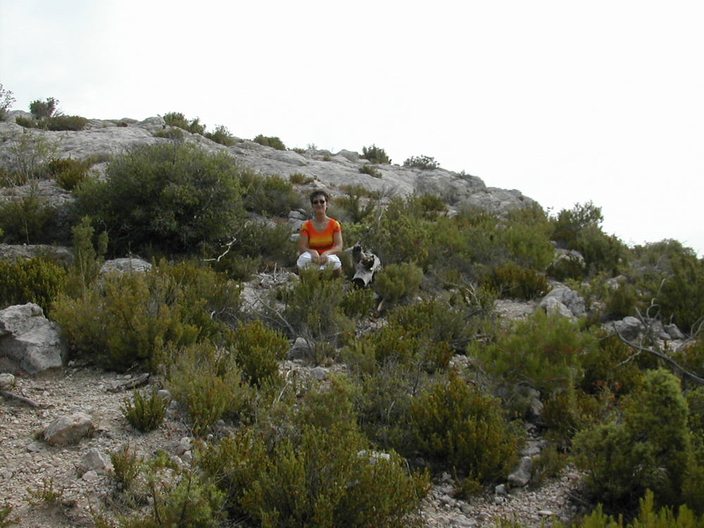 Madura 427
 #100489765