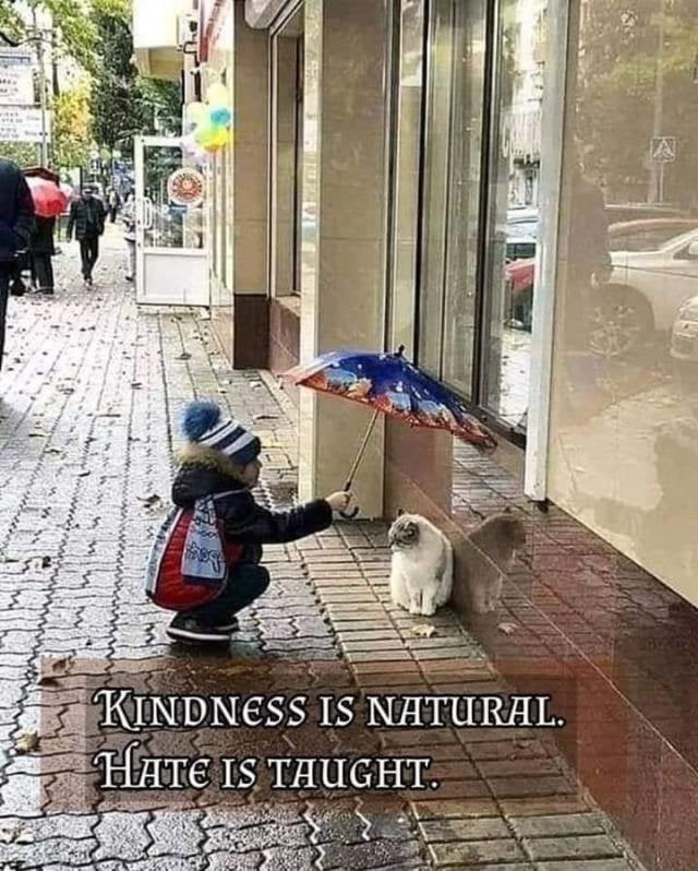 Ma di troie ce ne son tante...? e di donne...?
 #101843144