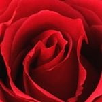 Ma di troie ce ne son tante...? e di donne...?
 #101843662