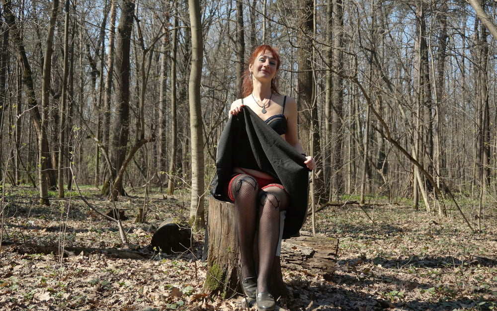 in Spring Forest on the Stomp 2 #107044102