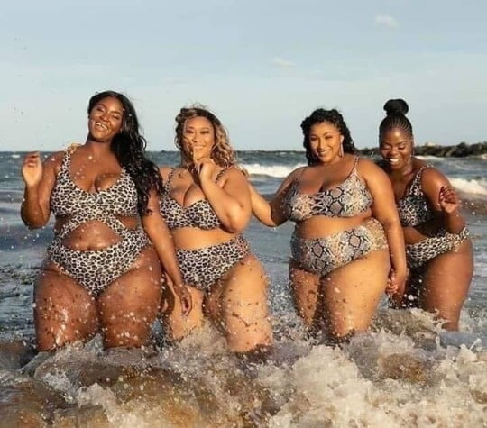 Black BBWs and Thickness 6 #91757859