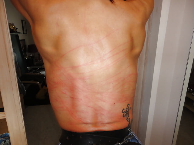 サロペ・スミーズ・ドックファン2
 #93203864