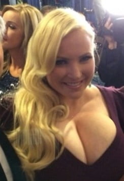 Meghan McCain and her huge tits! #98341874