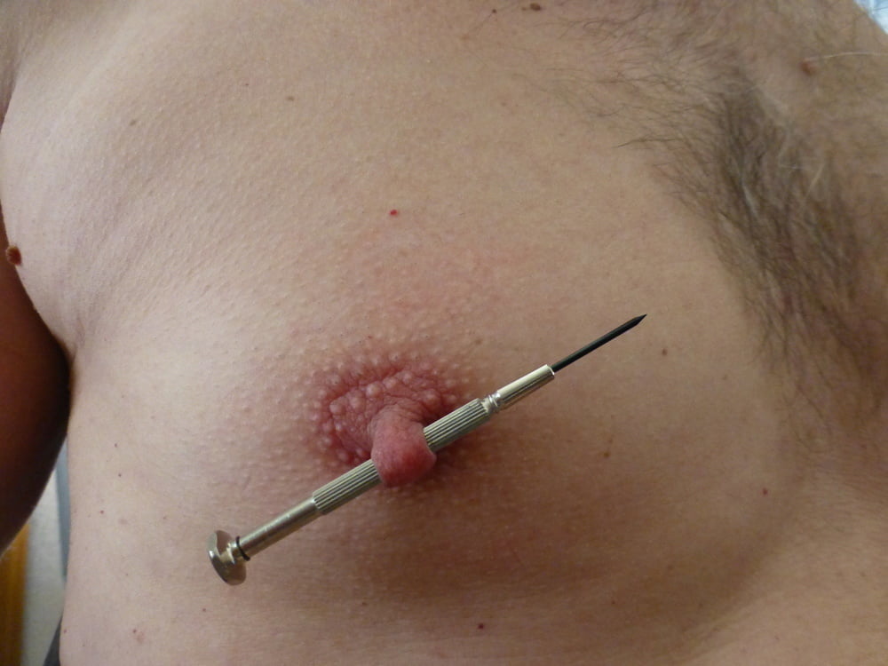 Carne perforada 5
 #91411009