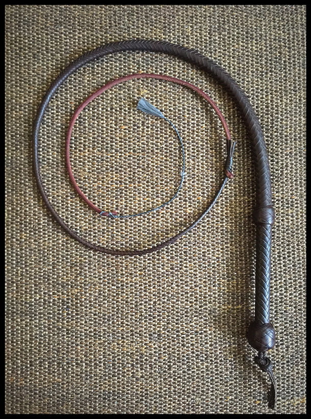 Implements for whipping punishment #82211822